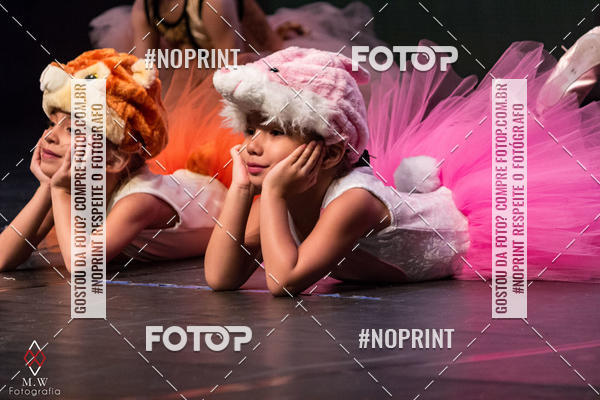 Buy your photos of the eventO Circo - Studio Talita Brasil on Fotop