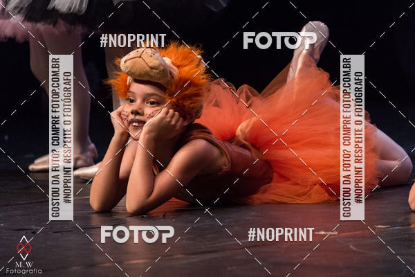 Buy your photos of the eventO Circo - Studio Talita Brasil on Fotop