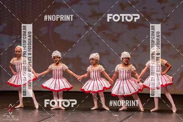 Buy your photos of the eventO Circo - Studio Talita Brasil on Fotop