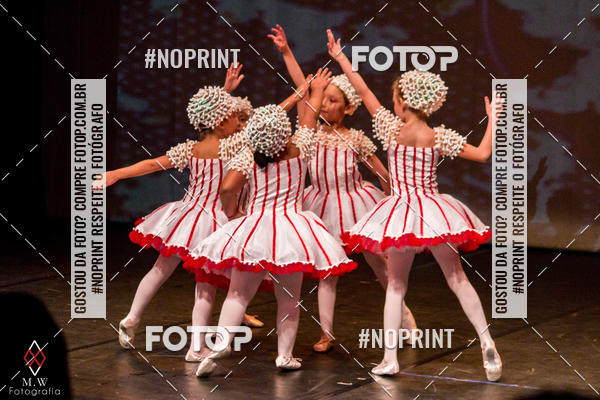 Buy your photos of the eventO Circo - Studio Talita Brasil on Fotop