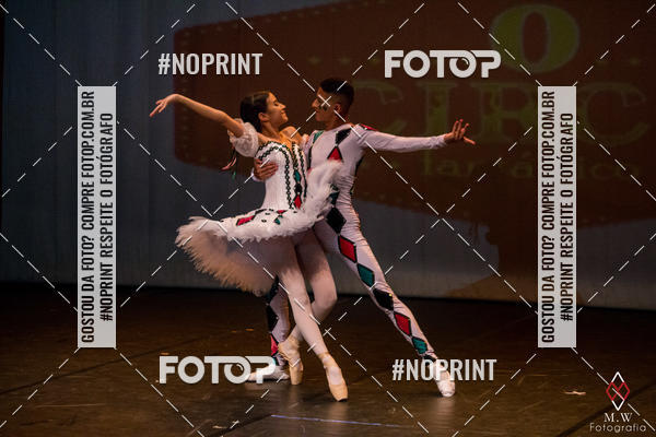 Buy your photos of the eventO Circo - Studio Talita Brasil on Fotop