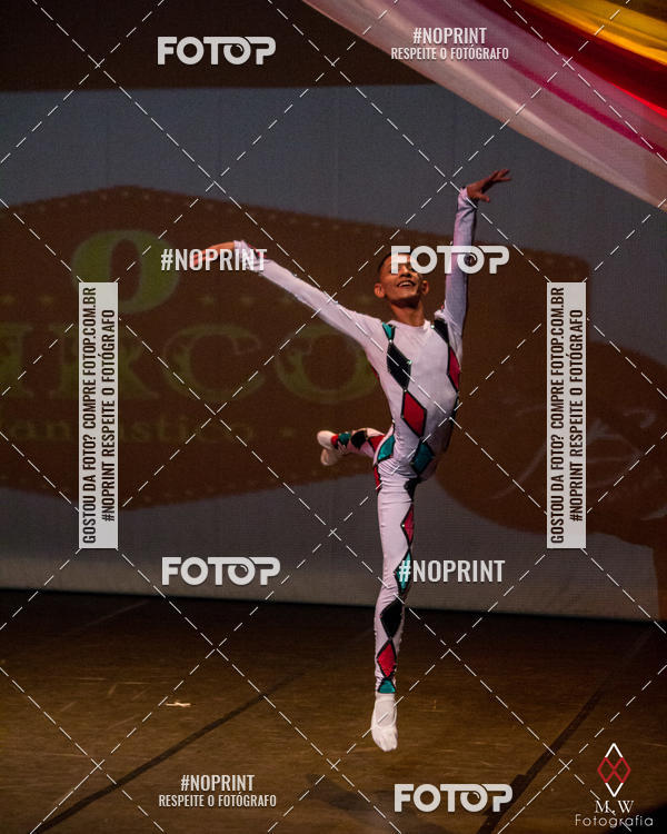 Buy your photos of the eventO Circo - Studio Talita Brasil on Fotop