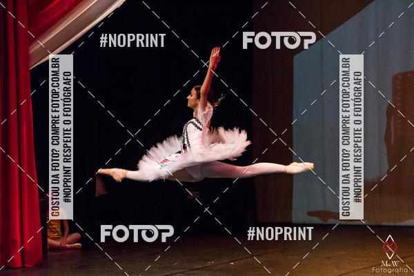 Buy your photos of the eventO Circo - Studio Talita Brasil on Fotop