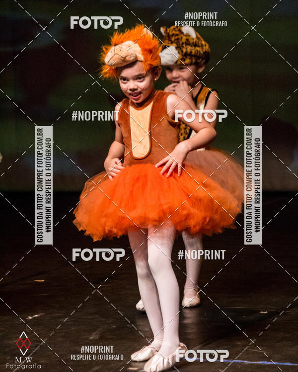 Buy your photos of the eventO Circo - Studio Talita Brasil on Fotop