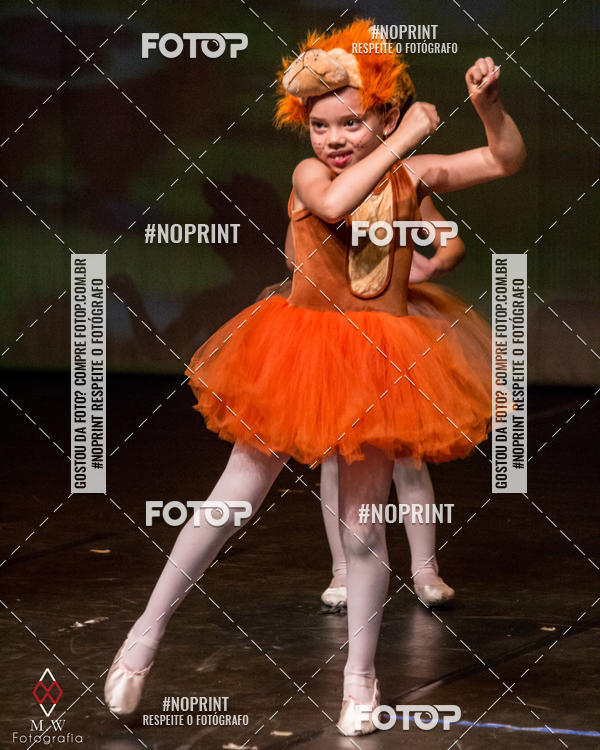 Buy your photos of the eventO Circo - Studio Talita Brasil on Fotop