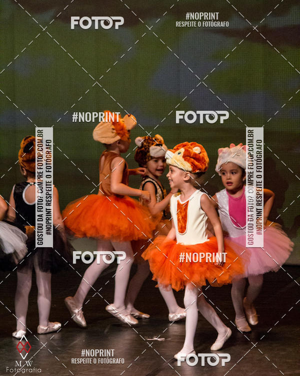 Buy your photos of the eventO Circo - Studio Talita Brasil on Fotop