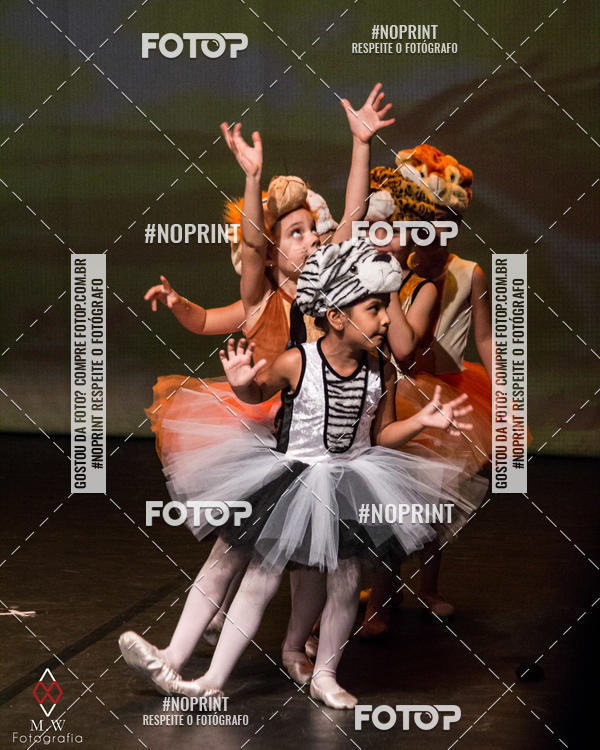 Buy your photos of the eventO Circo - Studio Talita Brasil on Fotop