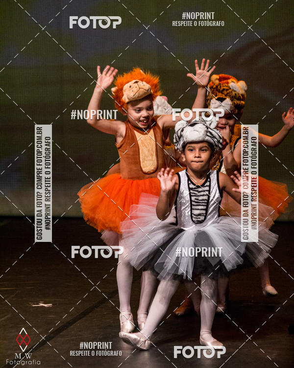 Buy your photos of the eventO Circo - Studio Talita Brasil on Fotop