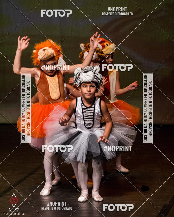 Buy your photos of the eventO Circo - Studio Talita Brasil on Fotop