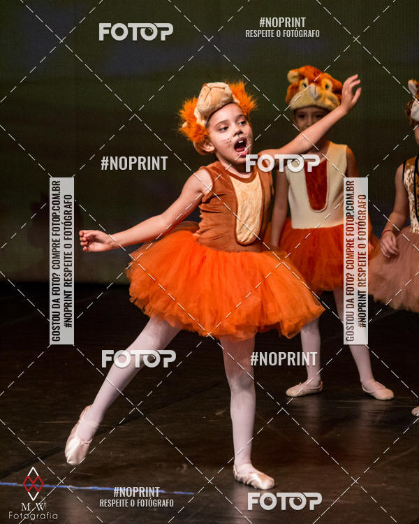 Buy your photos of the eventO Circo - Studio Talita Brasil on Fotop