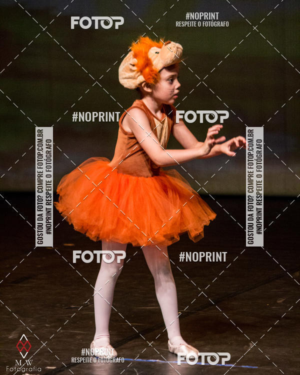 Buy your photos of the eventO Circo - Studio Talita Brasil on Fotop