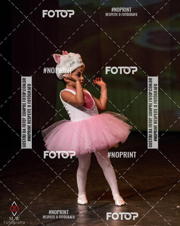 Buy your photos of the eventO Circo - Studio Talita Brasil on Fotop