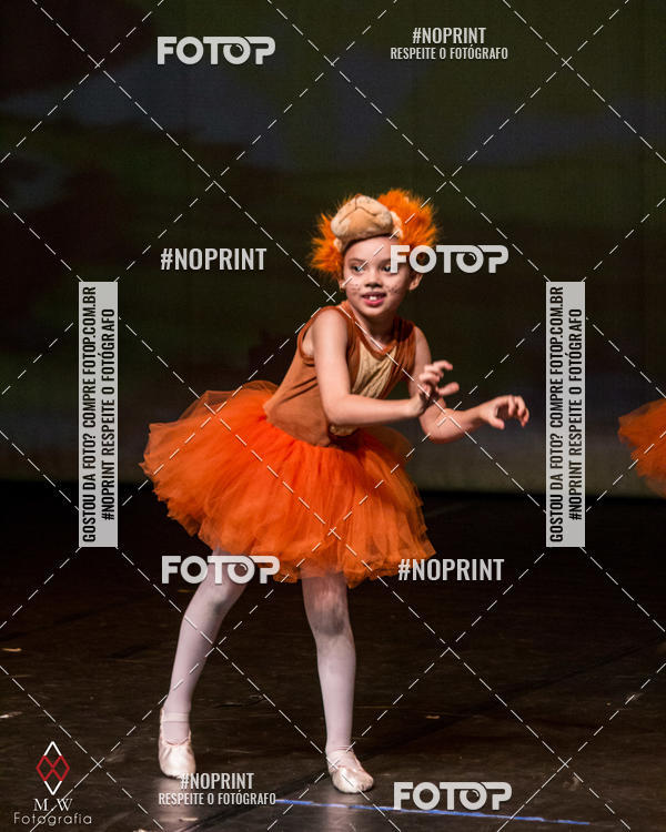 Buy your photos of the eventO Circo - Studio Talita Brasil on Fotop