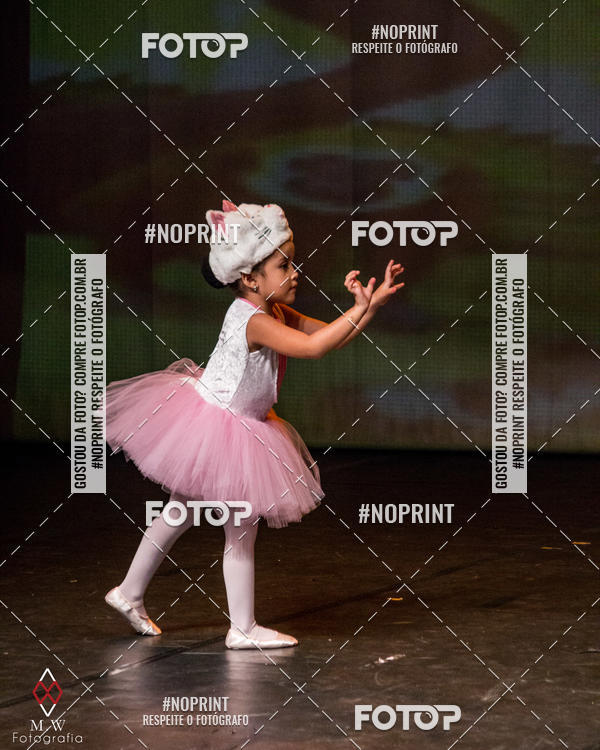 Buy your photos of the eventO Circo - Studio Talita Brasil on Fotop