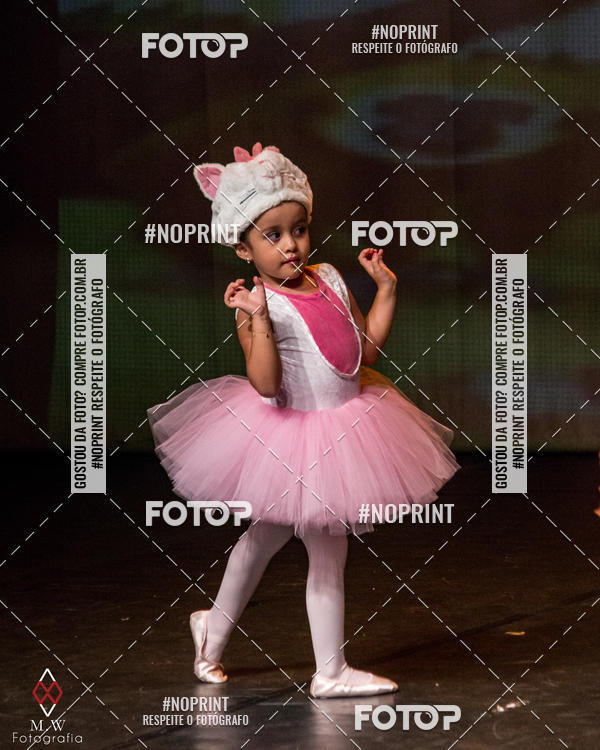 Buy your photos of the eventO Circo - Studio Talita Brasil on Fotop