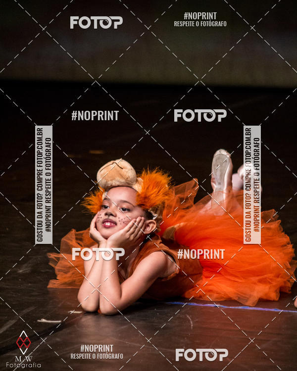 Buy your photos of the eventO Circo - Studio Talita Brasil on Fotop