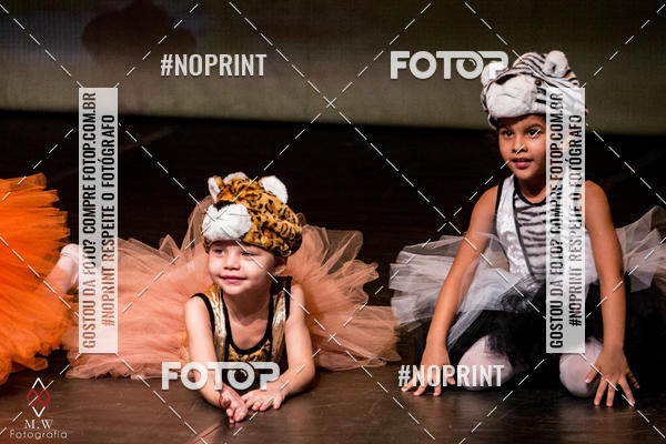 Buy your photos of the eventO Circo - Studio Talita Brasil on Fotop