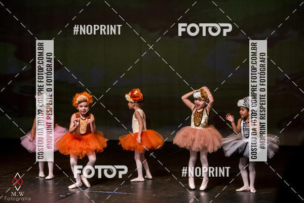 Buy your photos of the eventO Circo - Studio Talita Brasil on Fotop