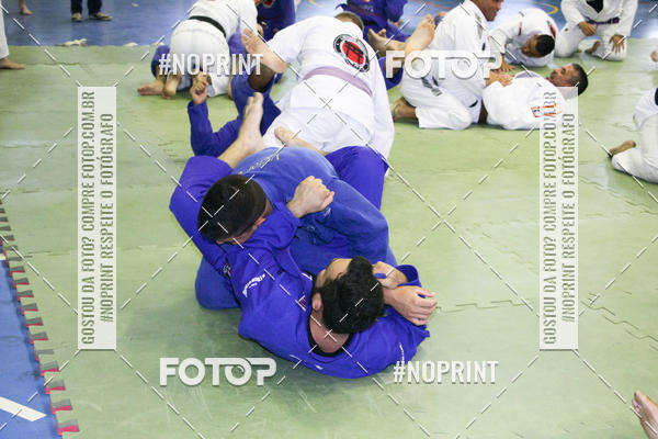 Buy your photos of the eventAulo nacional Chute Boxe  07.12.2019 on Fotop