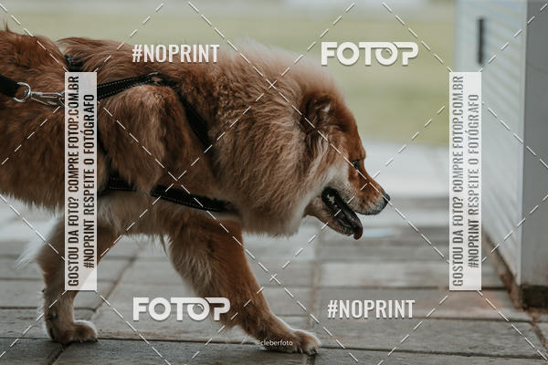 Compre as suas fotos do eventoDesafio Zero Um no Fotop