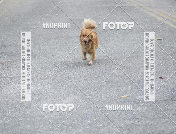 Buy your photos of the eventCORRIDA DA SADE 2019 on Fotop