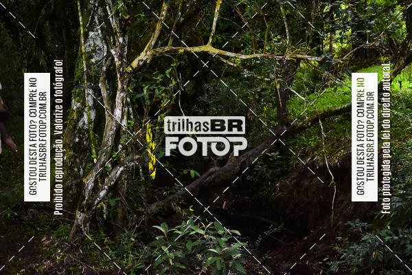 Buy your photos of the event4 UNLIMITED RACE on Fotop