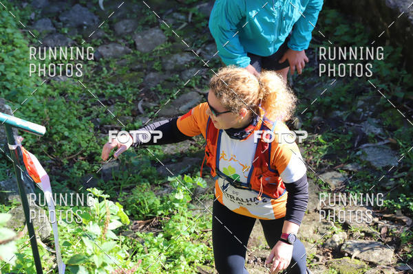 Buy your photos of the eventXMAS TRAIL on Fotop