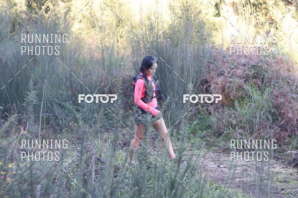 Buy your photos of the eventXMAS TRAIL on Fotop