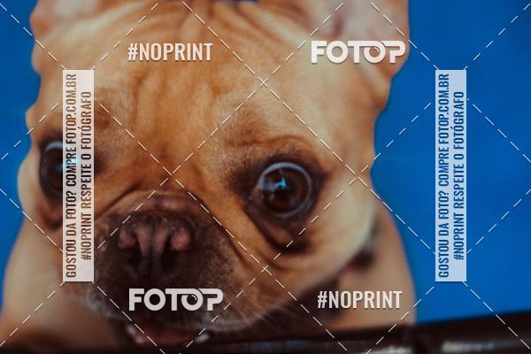 Buy your photos of the eventDuf Games on Fotop