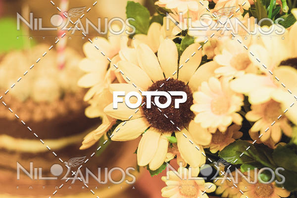 Buy your photos of the eventAniversrio de Luiza Valentina on Fotop