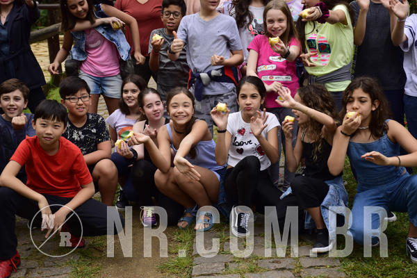 Buy your photos of the eventNR Ol 6 Ano  06 a 08/12/19 on Fotop