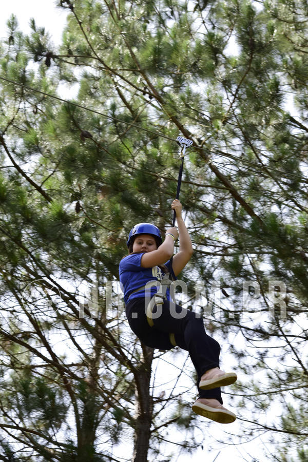 Buy your photos of the eventNR Ol� 6� Ano  06 a 08/12/19 on Fotop