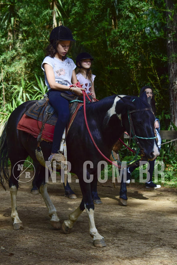 Buy your photos of the eventNR Ol� 6� Ano  06 a 08/12/19 on Fotop