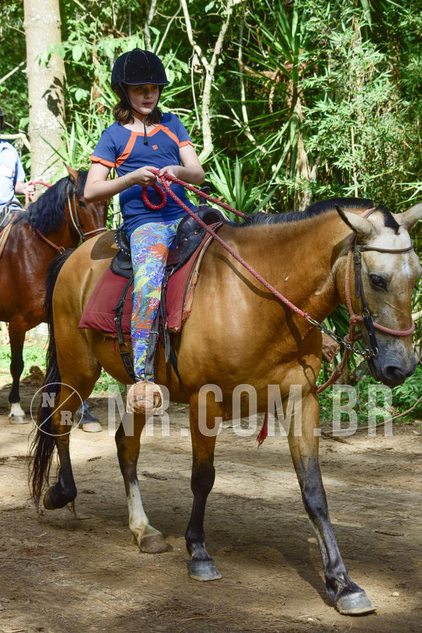 Buy your photos of the eventNR Ol� 6� Ano  06 a 08/12/19 on Fotop