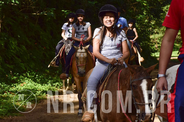 Buy your photos of the eventNR Ol� 6� Ano  06 a 08/12/19 on Fotop