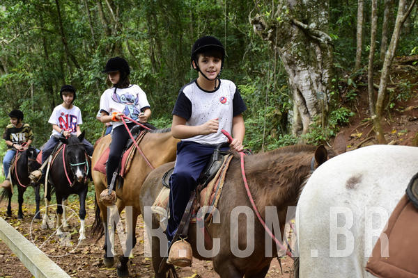 Buy your photos of the eventNR Ol� 6� Ano  06 a 08/12/19 on Fotop