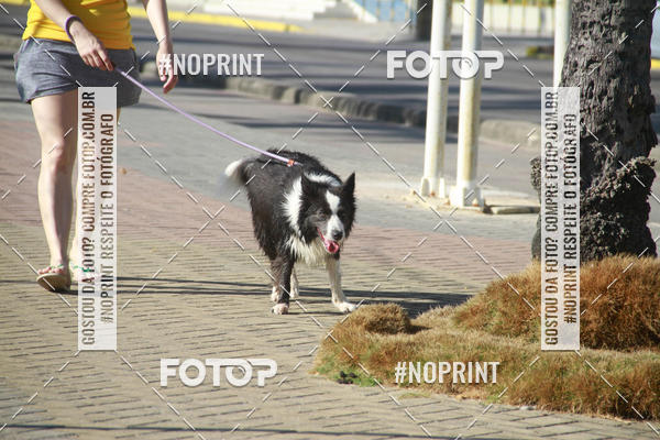 Buy your photos of the eventCorrida da Orla Ano III on Fotop