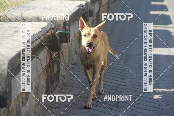 Buy your photos of the eventCorrida da Orla Ano III on Fotop