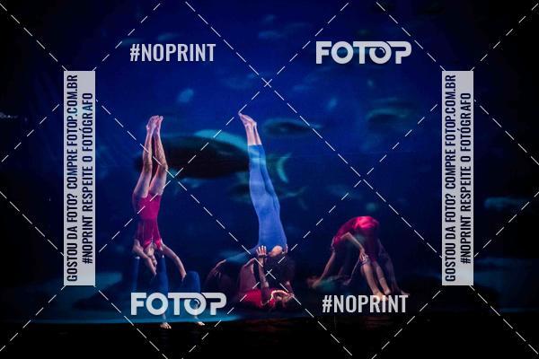 Buy your photos of the eventCabar� de Final de ano - 17/12 on Fotop