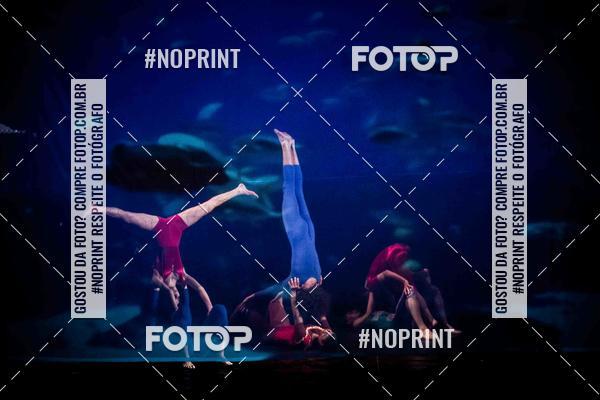 Buy your photos of the eventCabar� de Final de ano - 17/12 on Fotop