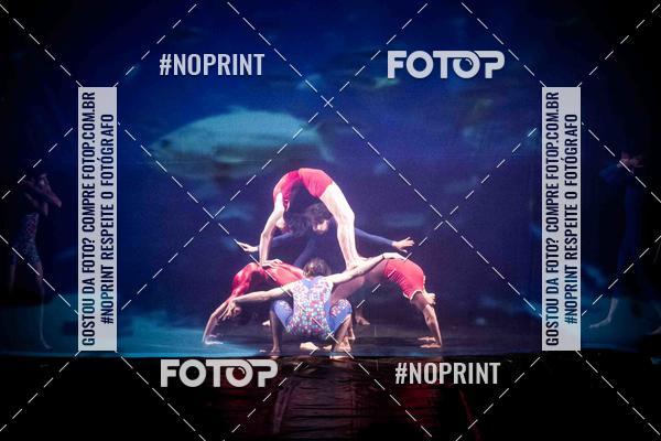 Buy your photos of the eventCabar� de Final de ano - 17/12 on Fotop