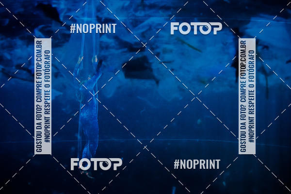 Buy your photos of the eventCabar� de Final de ano - 18/12 on Fotop