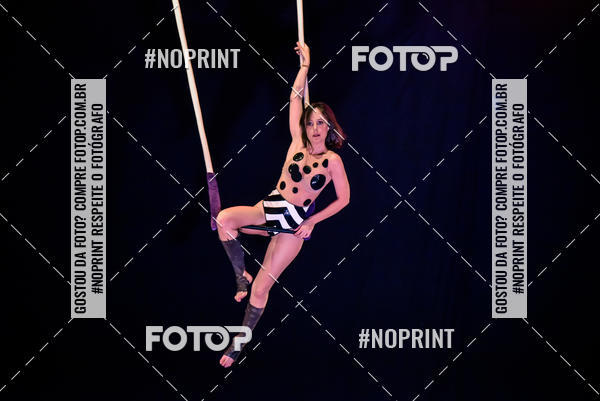 Buy your photos of the eventCabar� de Final de ano - 19/12 on Fotop