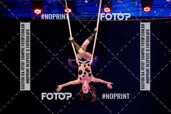 Buy your photos of the eventCabar� de Final de ano - 19/12 on Fotop