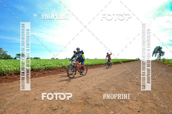 Buy your photos of the event2� MTB na Veia - 2019 on Fotop