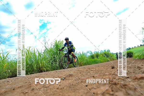 Buy your photos of the event2� MTB na Veia - 2019 on Fotop