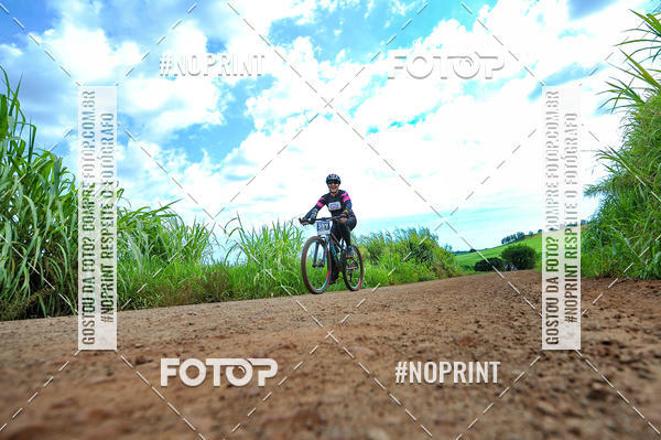 Buy your photos of the event2� MTB na Veia - 2019 on Fotop