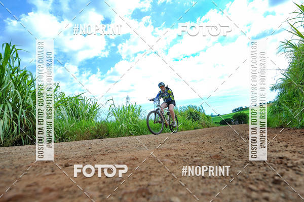 Buy your photos of the event2� MTB na Veia - 2019 on Fotop