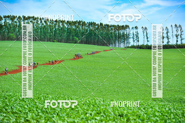 Buy your photos of the event2� MTB na Veia - 2019 on Fotop