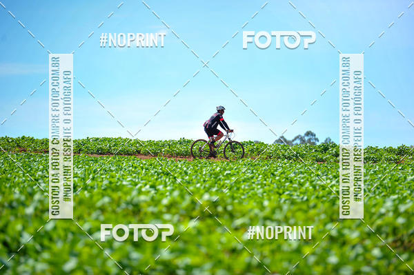 Buy your photos of the event2� MTB na Veia - 2019 on Fotop